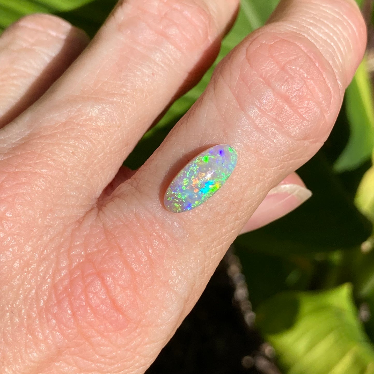 Lightning Ridge Rainbow