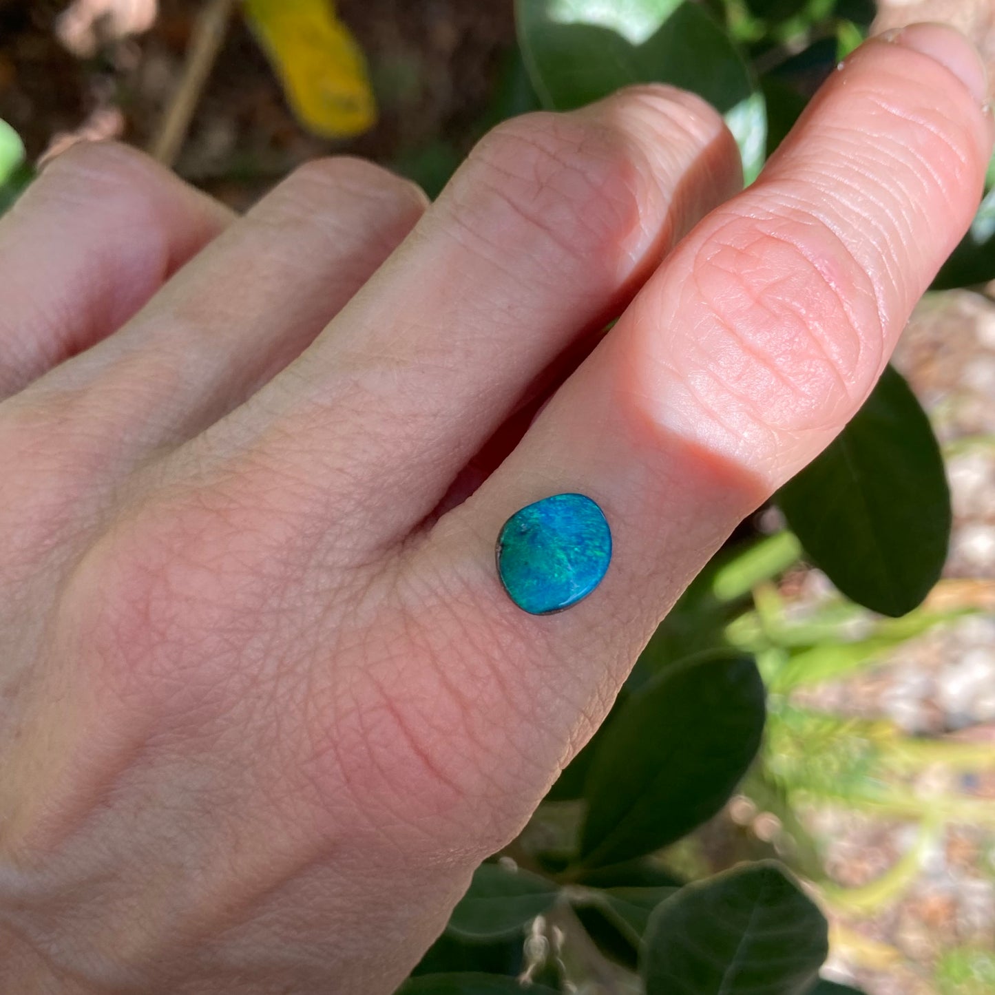 Pacific Blue Opal